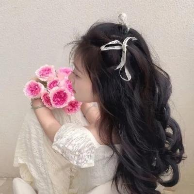 芭比和神秘之门